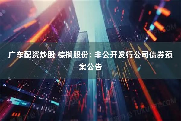 广东配资炒股 棕榈股份: 非公开发行公司债券预案公告